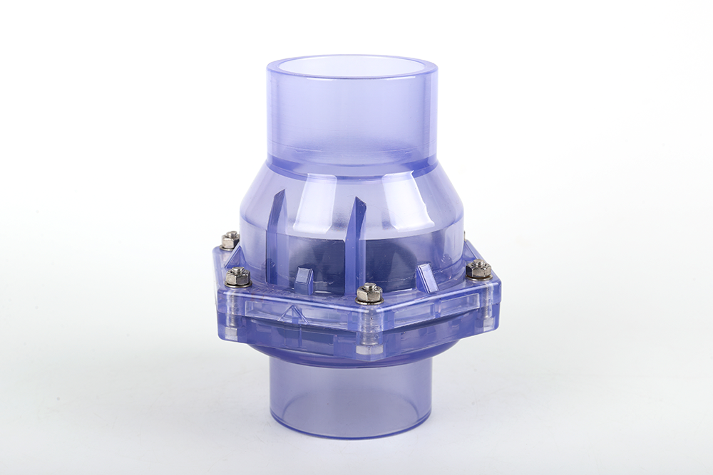 道外透明翻板式止回阀